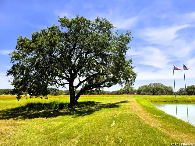 799 County Road 6612 Devine, TX 78016