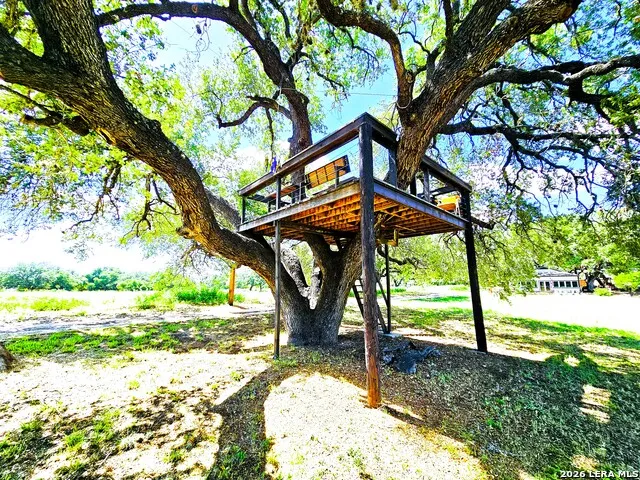 799 County Road 6612 Devine, TX 78016