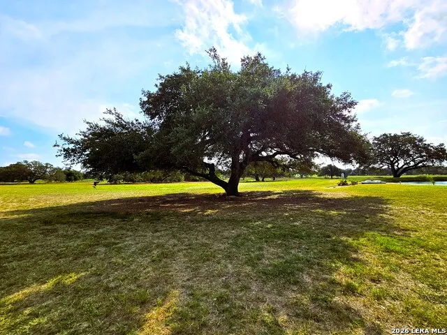 799 County Road 6612 Devine, TX 78016