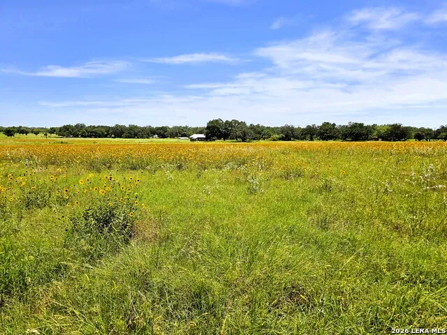 799 County Road 6612 Devine, TX 78016