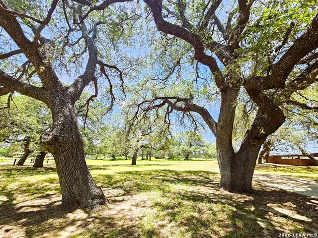 799 County Road 6612 Devine, TX 78016