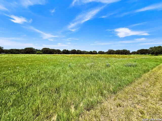 799 County Road 6612 Devine, TX 78016