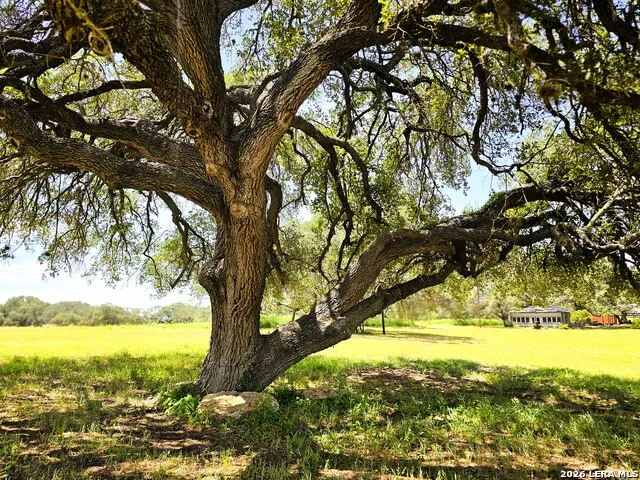 799 County Road 6612 Devine, TX 78016
