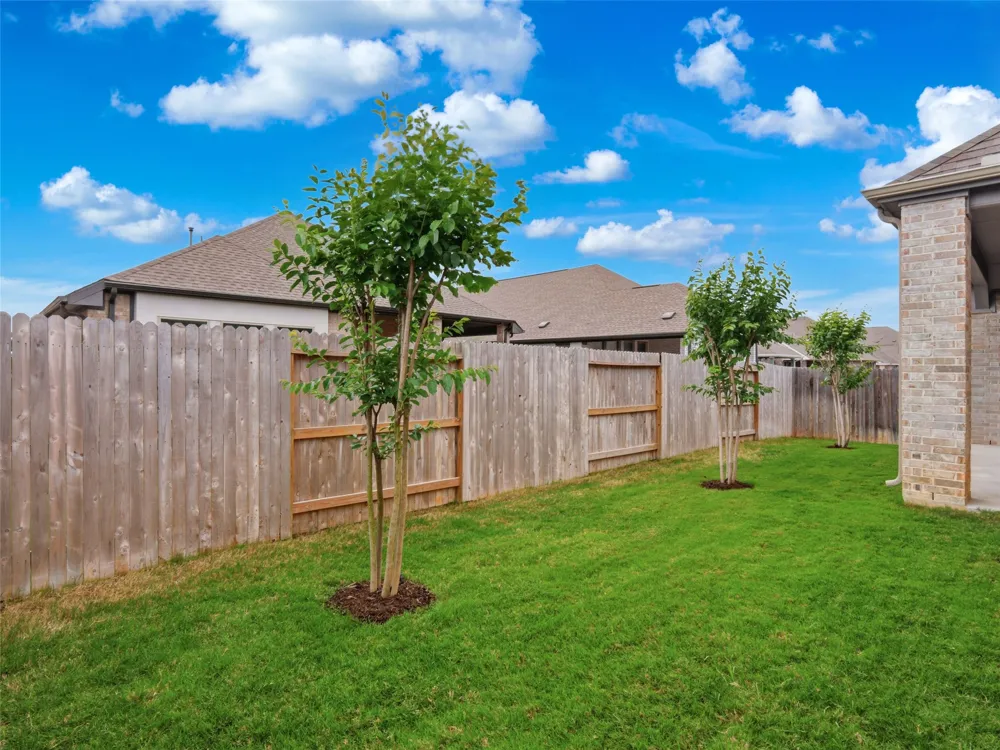 1833 Luna Street New Braunfels, TX 78132