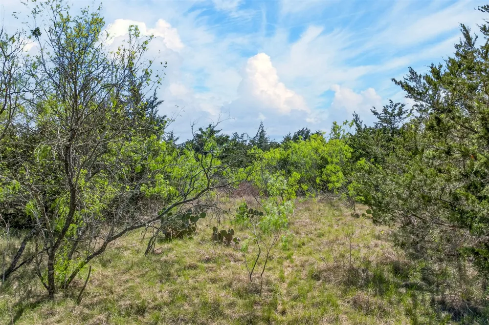 FM 1854 ROAD Dale, TX 78616