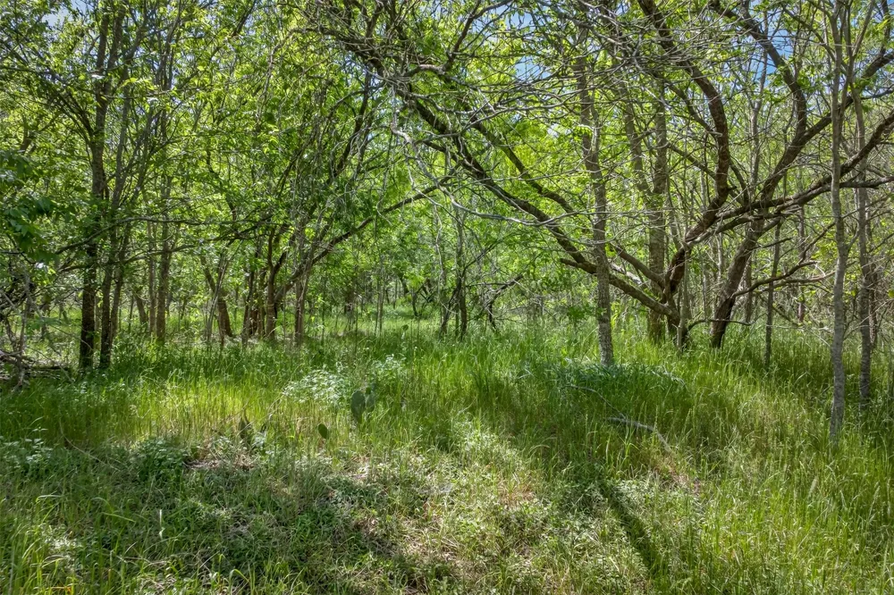 FM 1854 ROAD Dale, TX 78616