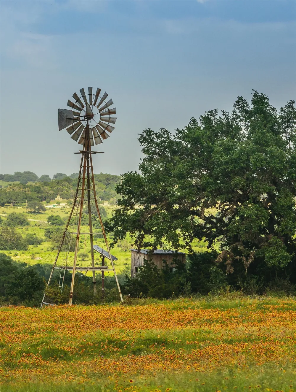 1934 Walnut Springs Road Johnson City, TX 78636