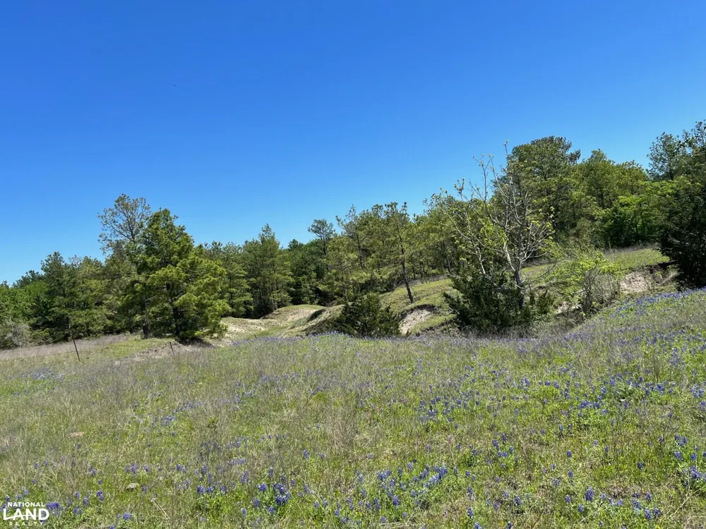 13945 Peterson Tract 50 Acres Anderson, TX 77830