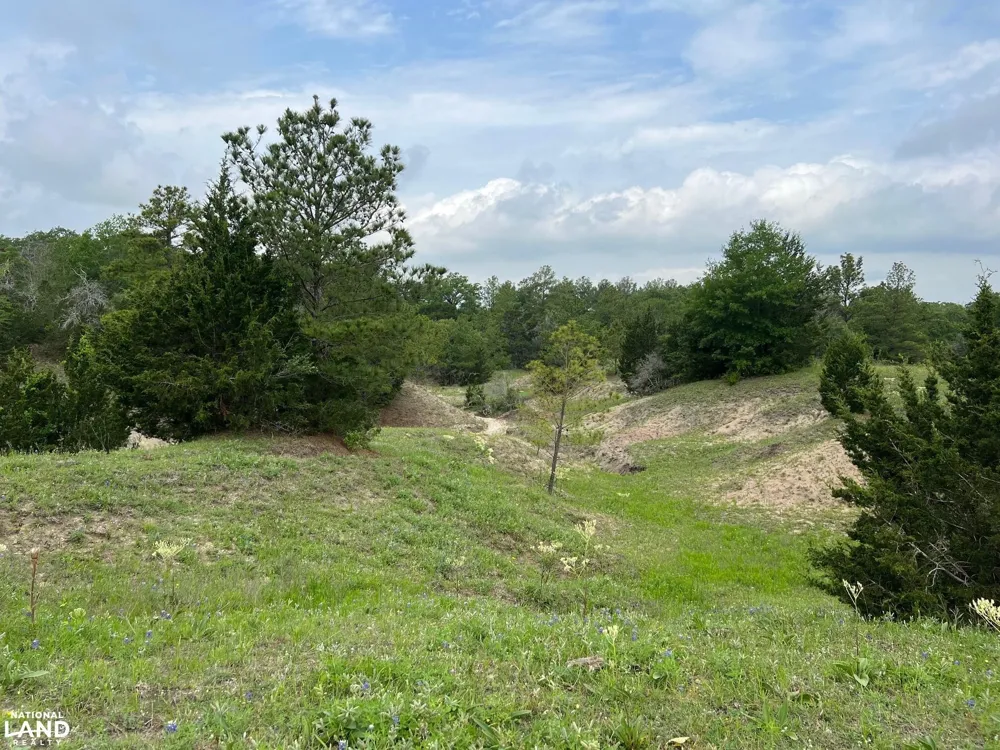 13945 Peterson Tract 50 Acres Anderson, TX 77830