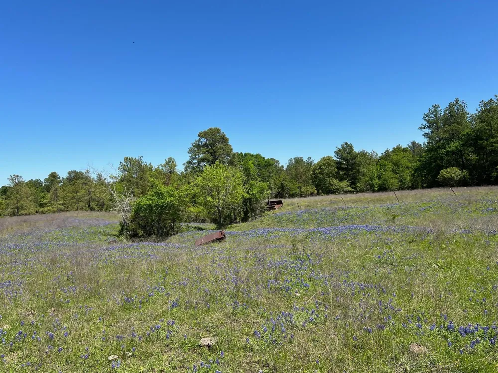 13945 Peterson Tract 50 Acres Anderson, TX 77830