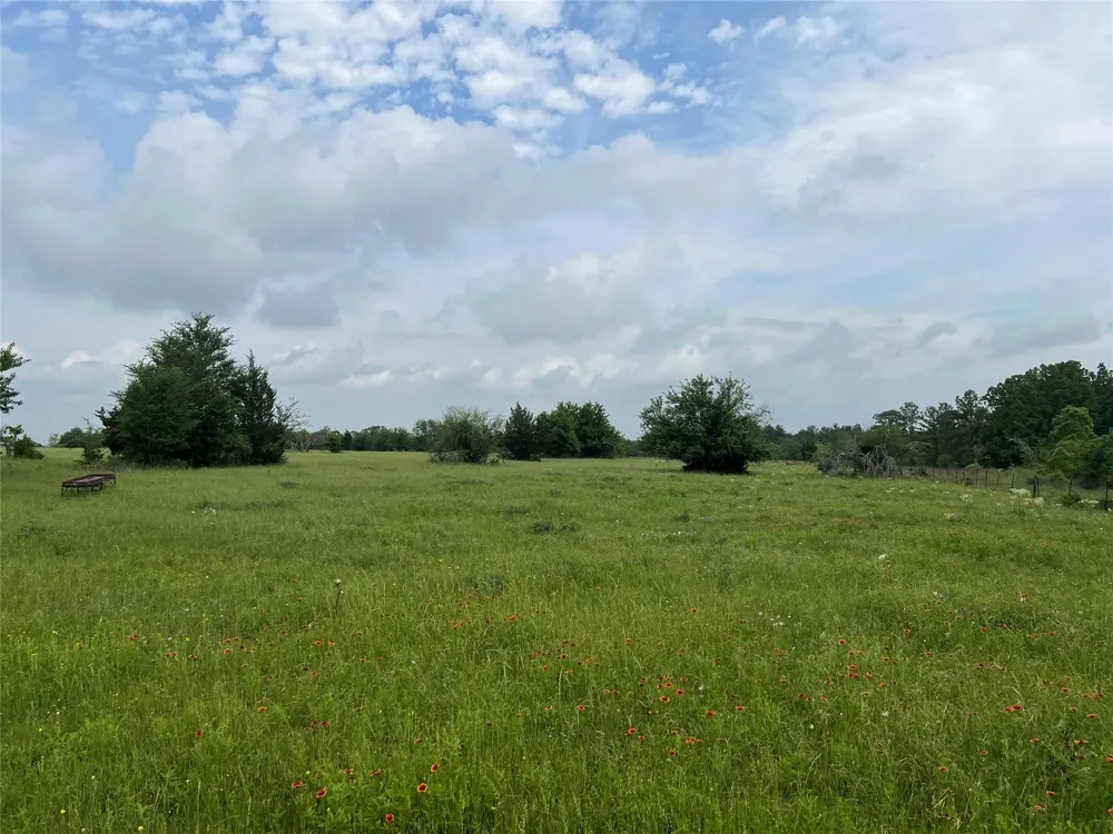 13945 Peterson Tract 50 Acres Anderson, TX 77830
