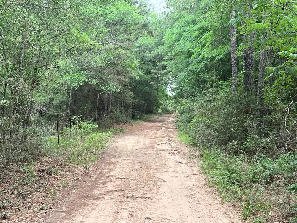 13945 Peterson Tract 50 Acres Anderson, TX 77830