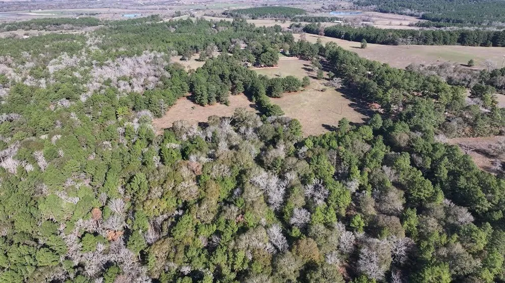 13945 Peterson Tract 50 Acres Anderson, TX 77830