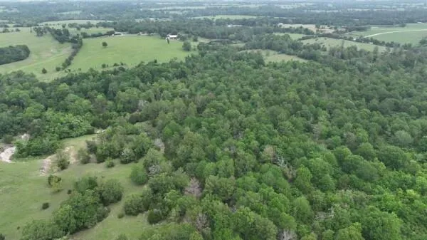 13945 Peterson Tract 50 Acres Anderson, TX 77830