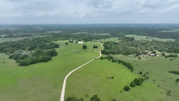13945 Peterson Tract 50 Acres Anderson, TX 77830