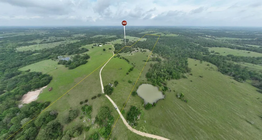 13945 Peterson Tract 50 Acres Anderson, TX 77830