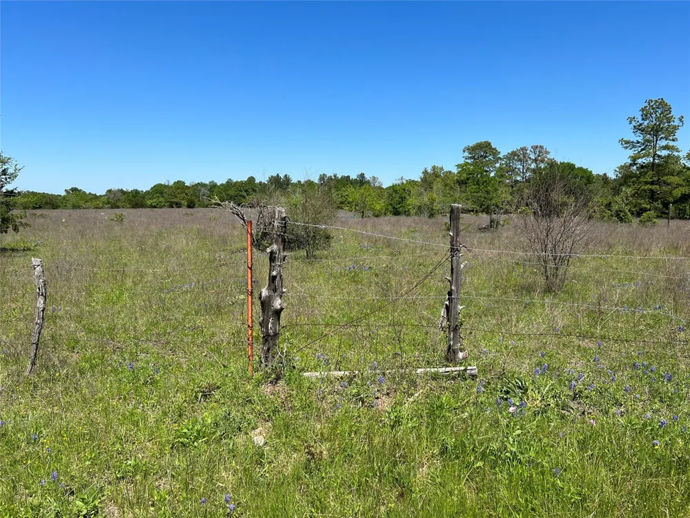13945 Peterson Tract 50 Acres Anderson, TX 77830