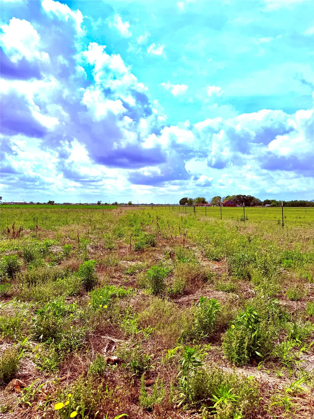 4421 Polak Rd Road Orchard, TX 77485