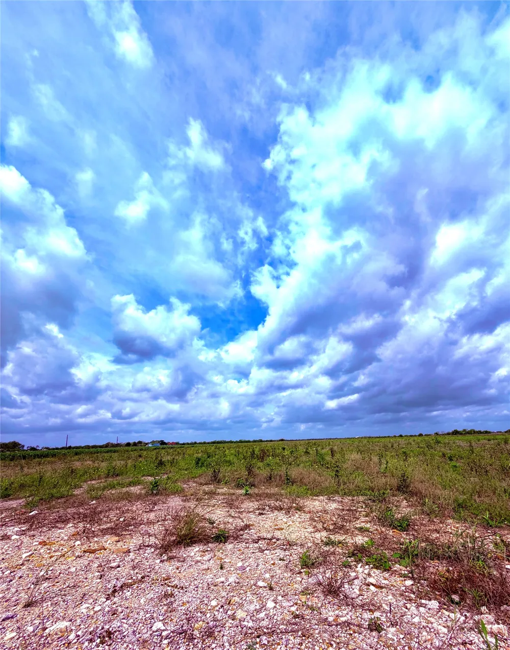4421 Polak Rd Road Orchard, TX 77485