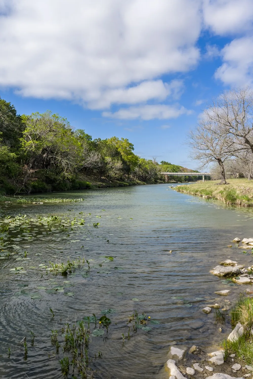 10250 E Fm 501 San Saba, TX 76877