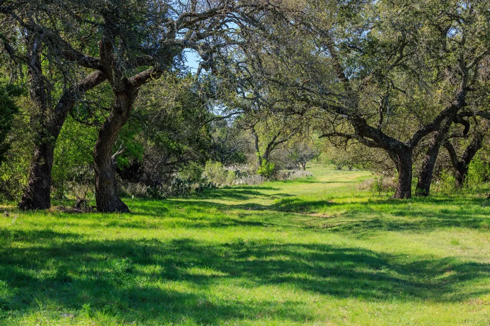 10250 E Fm 501 San Saba, TX 76877