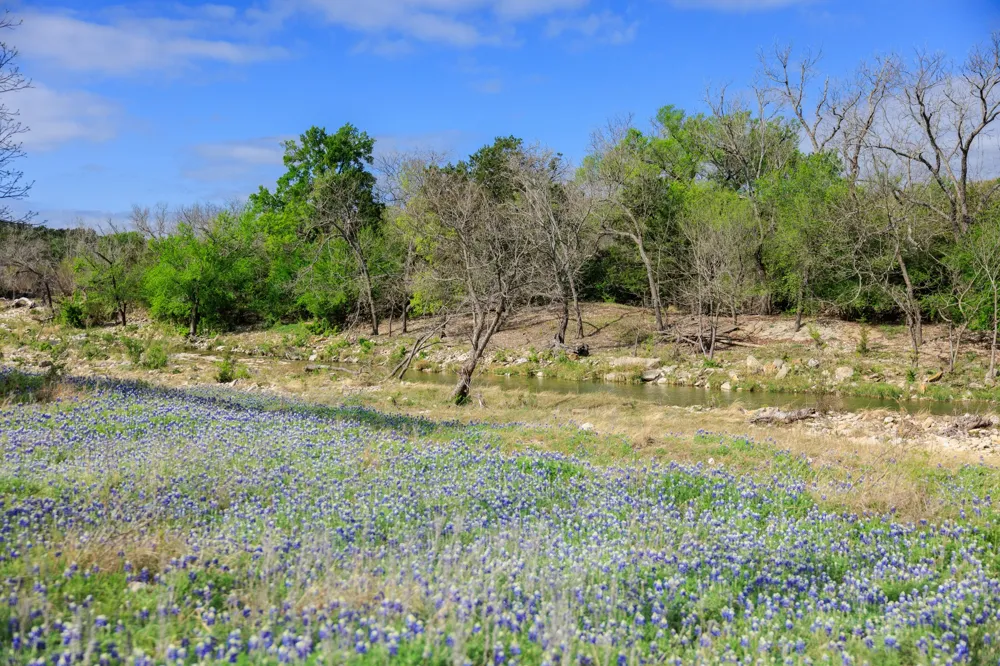 10250 E Fm 501 San Saba, TX 76877