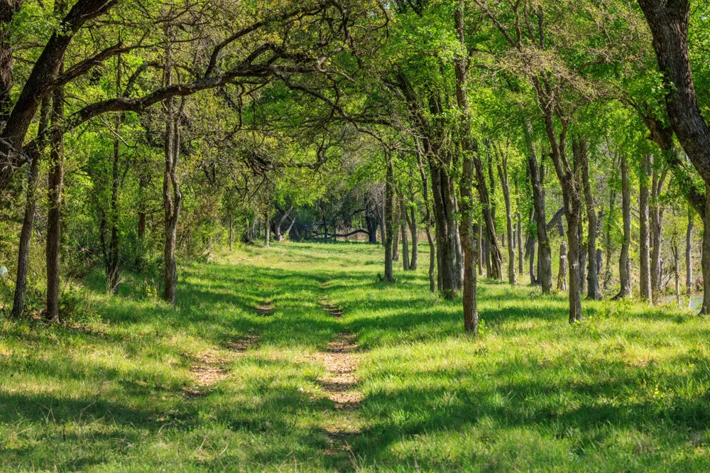 10250 E Fm 501 San Saba, TX 76877