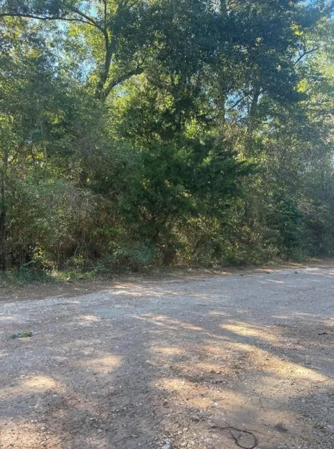 Le Conte Ln Lane