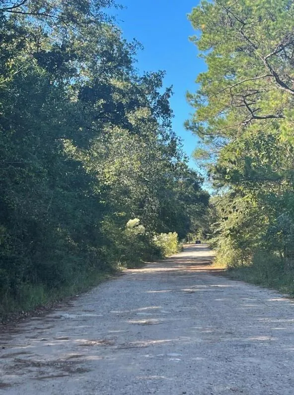 Le Conte Ln Lane Humble, TX 77338