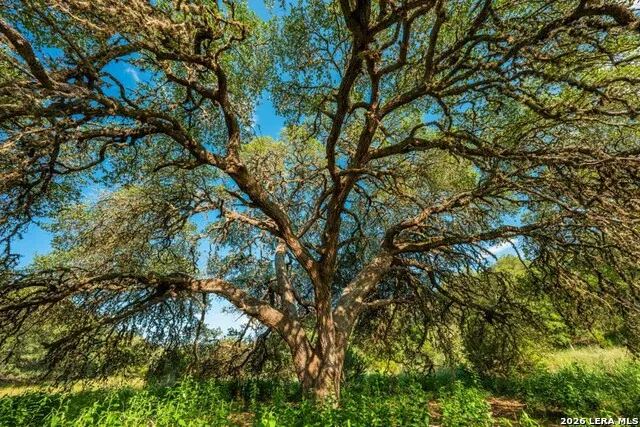 0-A FM 1888 Blanco, TX 78606