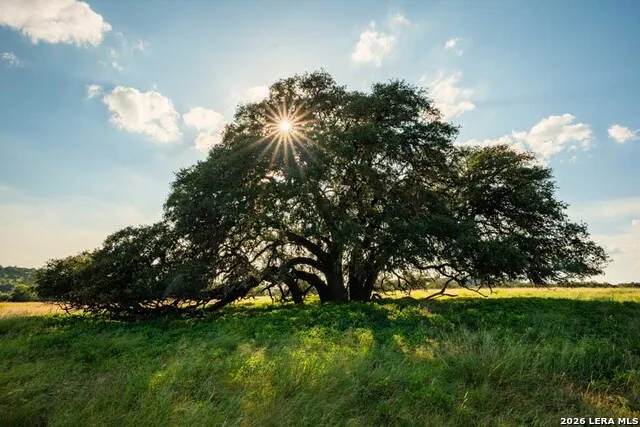 0-A FM 1888 Blanco, TX 78606