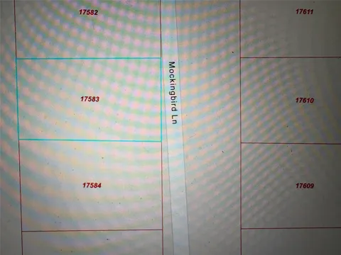 Mockingbird Lane