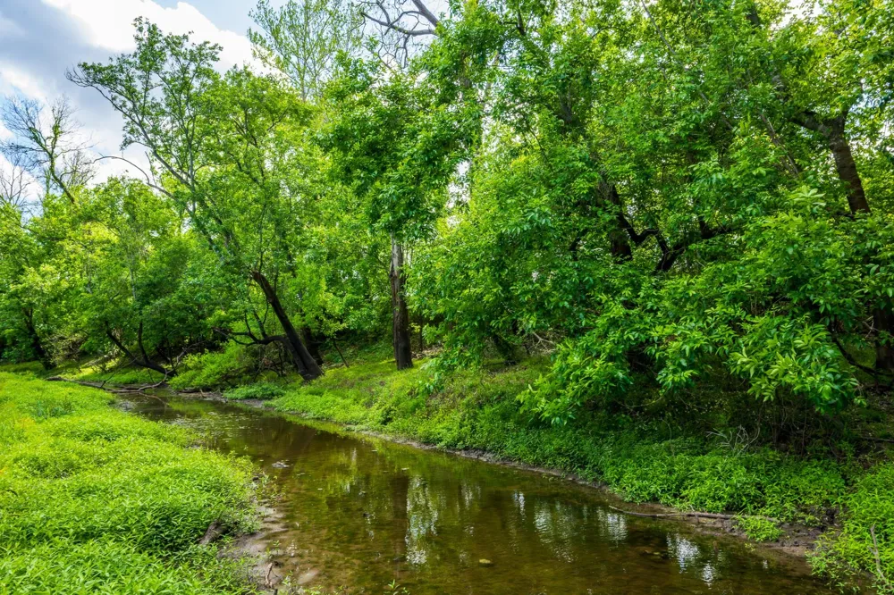 8283 Ashwood Road Van Vleck, TX 77482