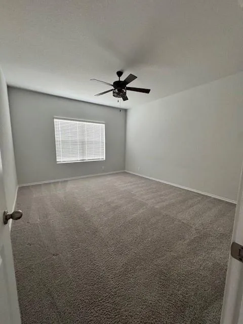1409 Alleyton Court Seguin, TX 78155