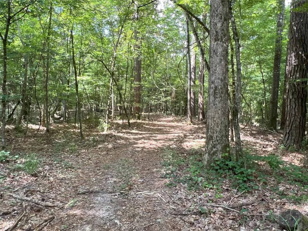 Upper Leggett Road Leggett, TX 77350