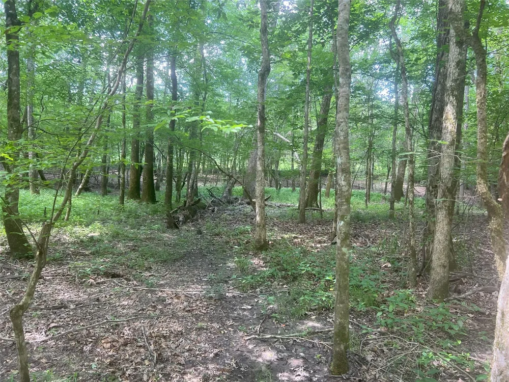 Upper Leggett Road Leggett, TX 77350