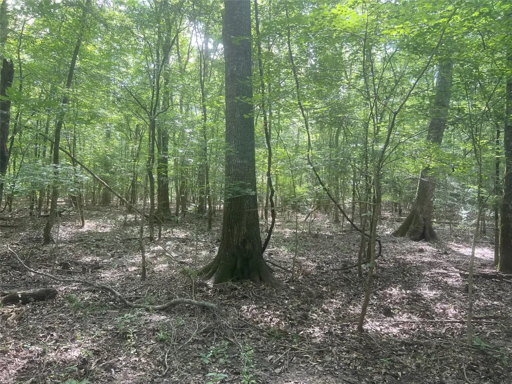 Upper Leggett Road Leggett, TX 77350