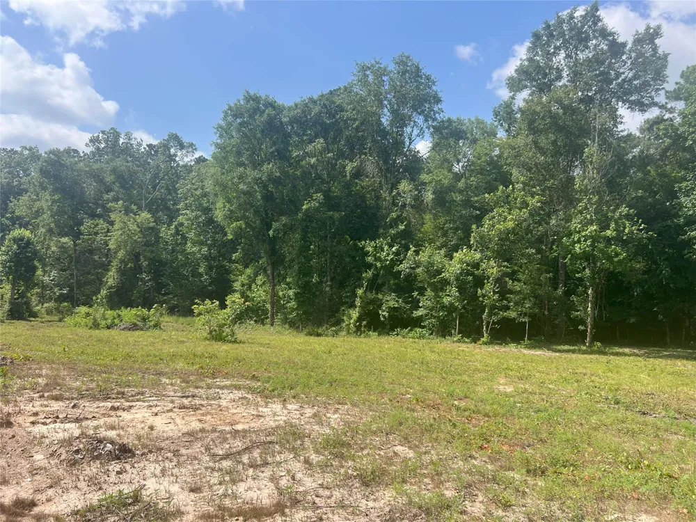 Upper Leggett Road Leggett, TX 77350