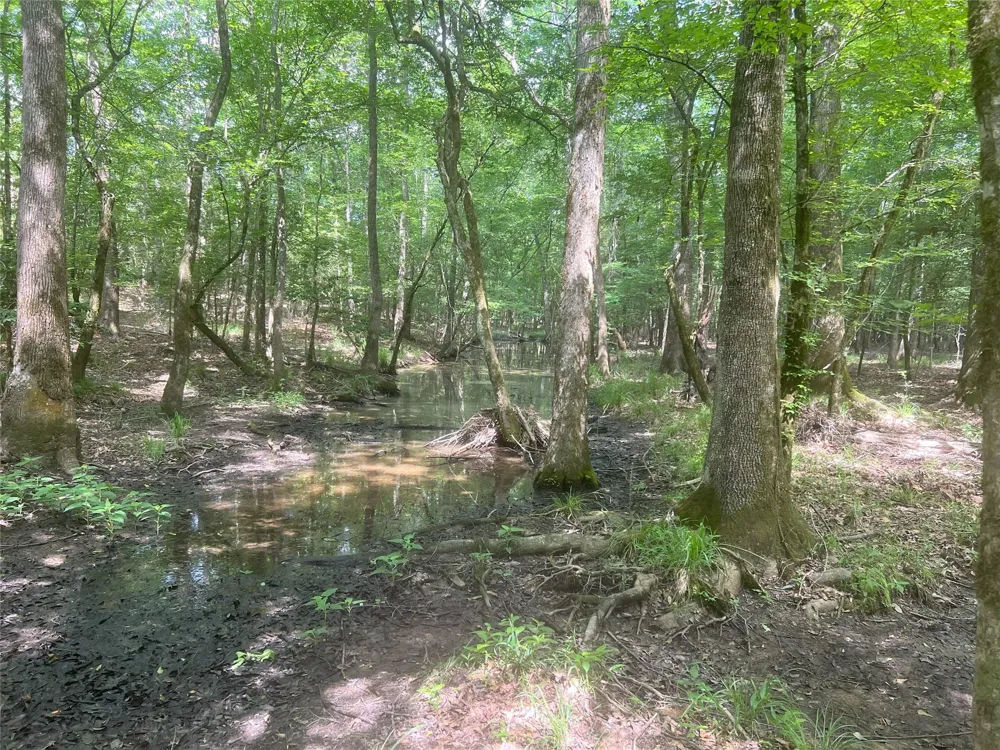 Upper Leggett Road Leggett, TX 77350