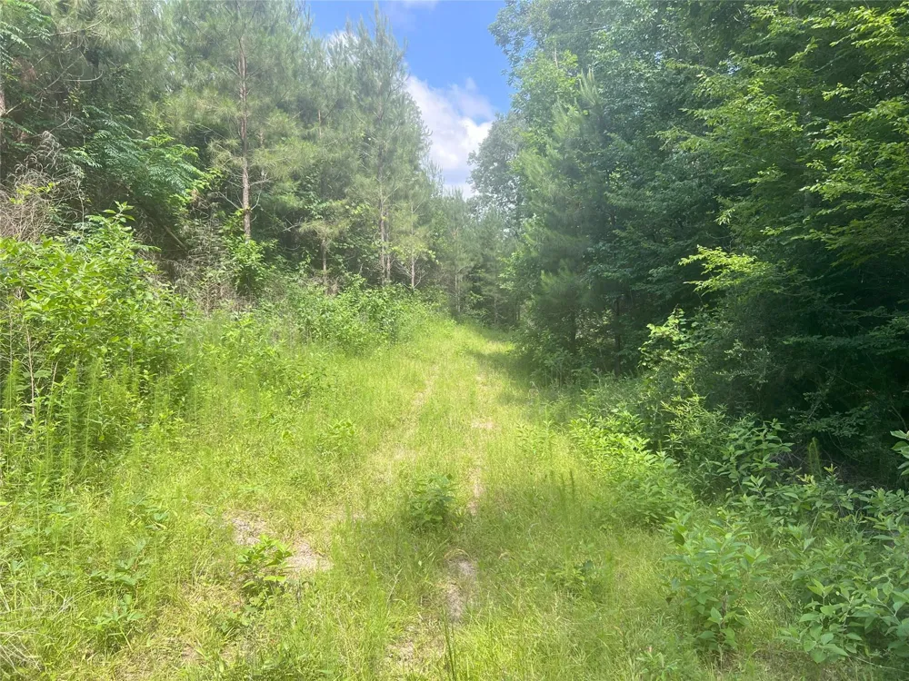 Upper Leggett Road Leggett, TX 77350