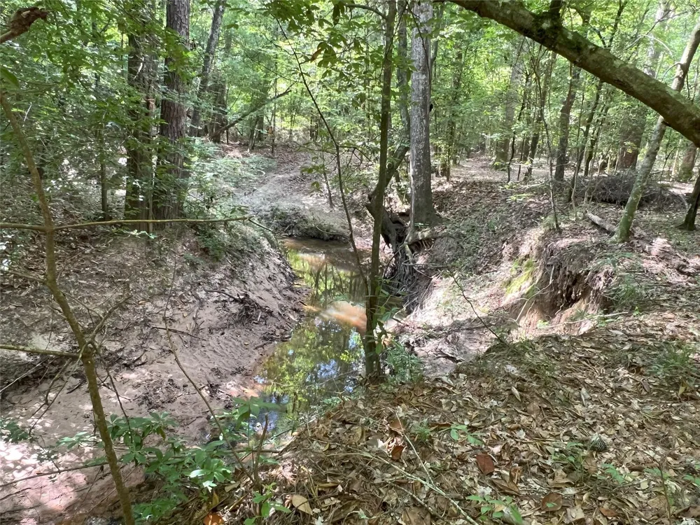 Upper Leggett Road Leggett, TX 77350