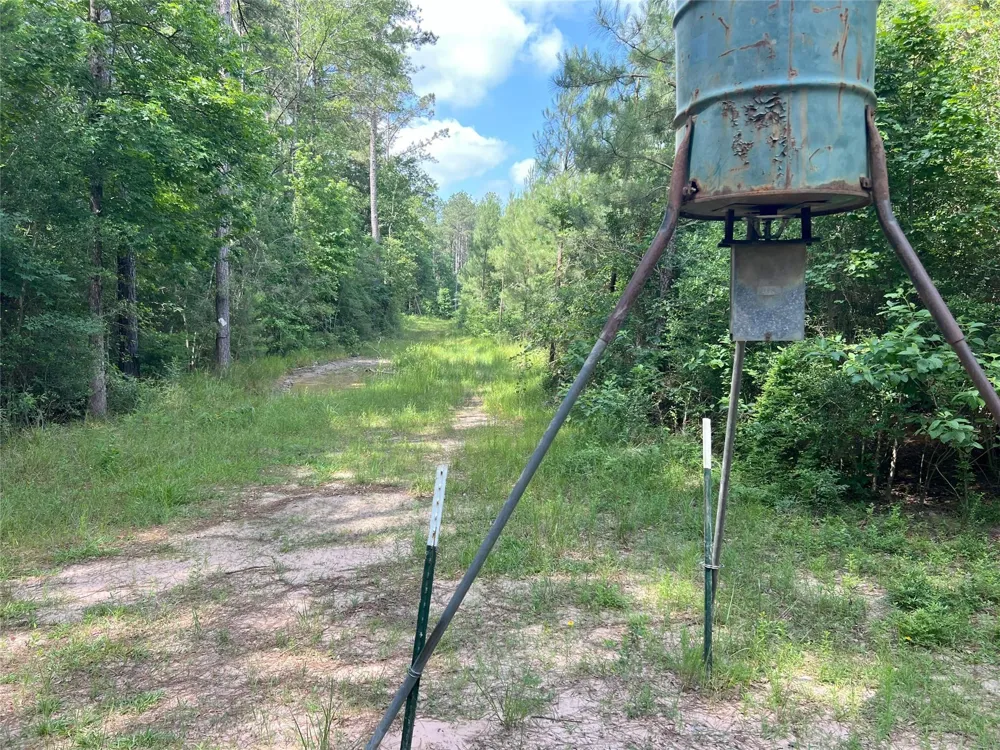 Upper Leggett Road Leggett, TX 77350