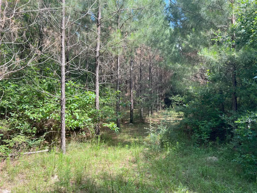 Upper Leggett Road Leggett, TX 77350