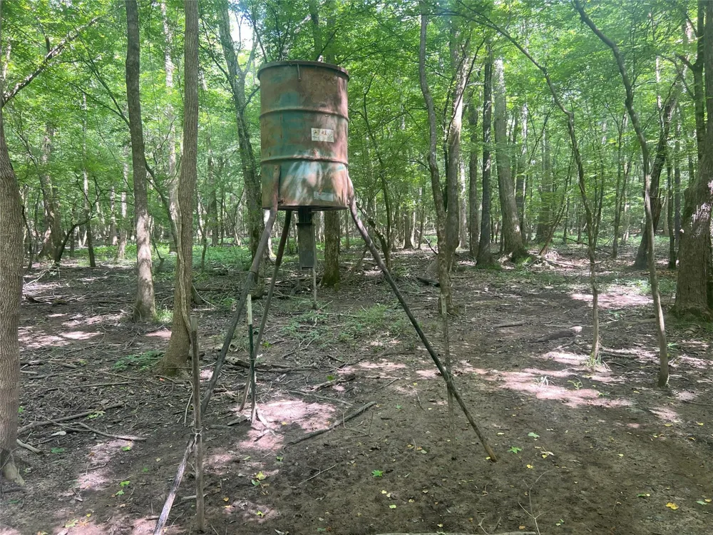Upper Leggett Road Leggett, TX 77350