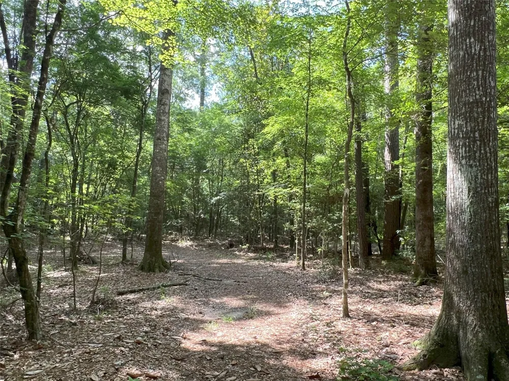 Upper Leggett Road Leggett, TX 77350