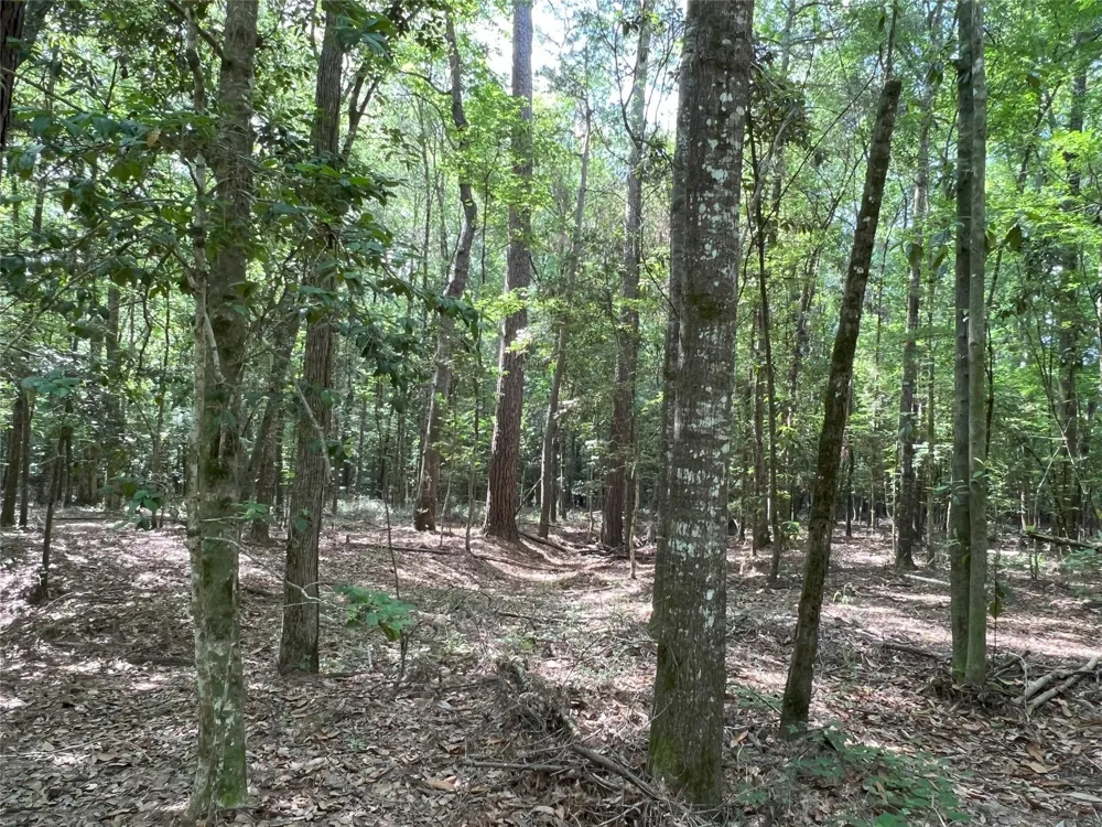 Upper Leggett Road Leggett, TX 77350