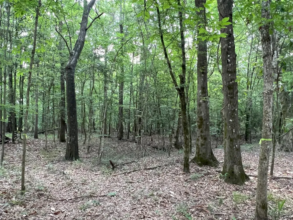 Upper Leggett Road Leggett, TX 77350