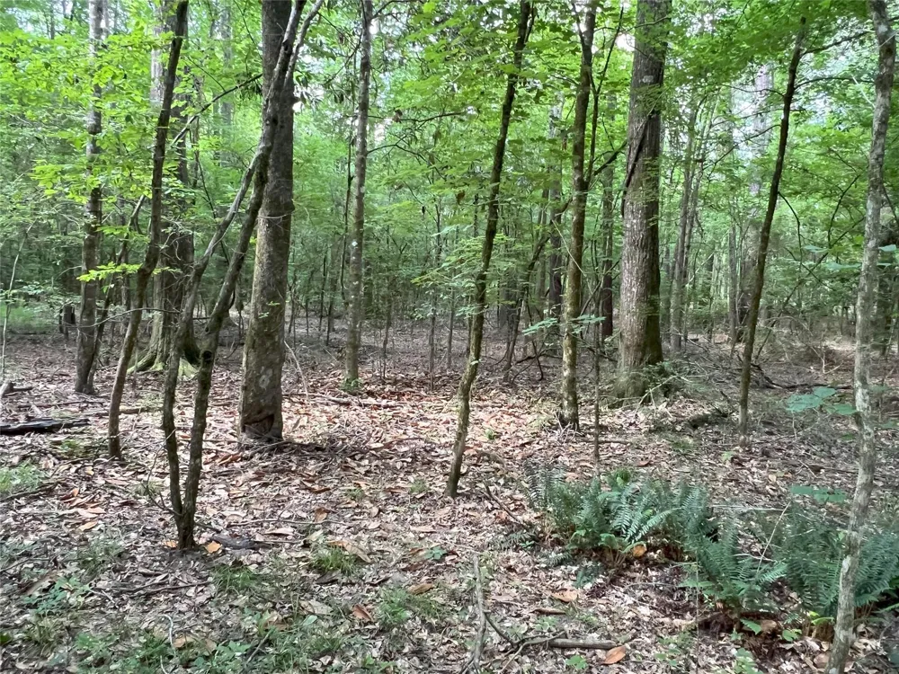 Upper Leggett Road Leggett, TX 77350