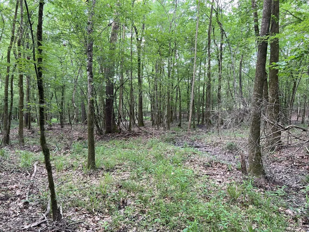 Upper Leggett Road Leggett, TX 77350