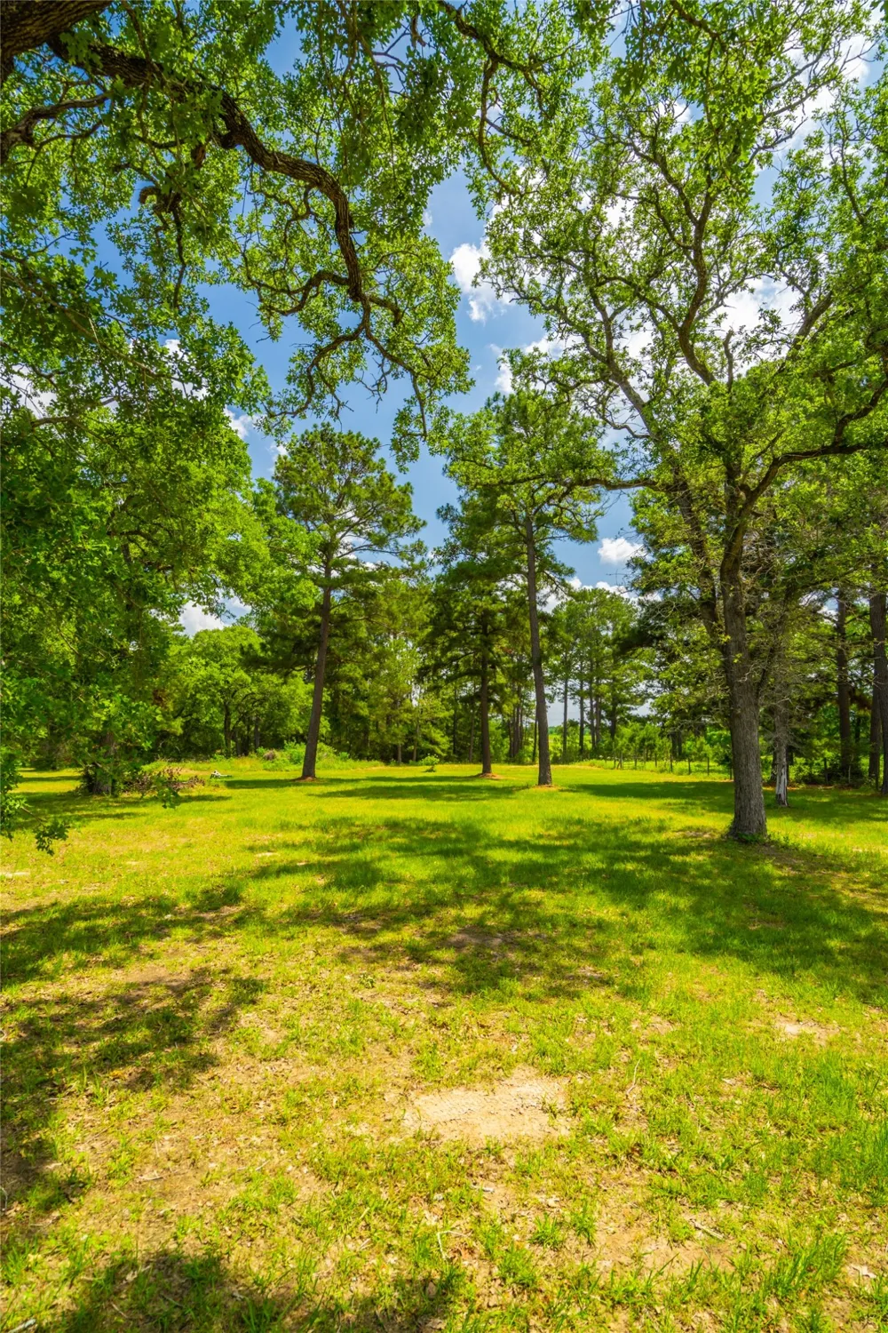 677 Old Antioch Road Smithville, TX 78957